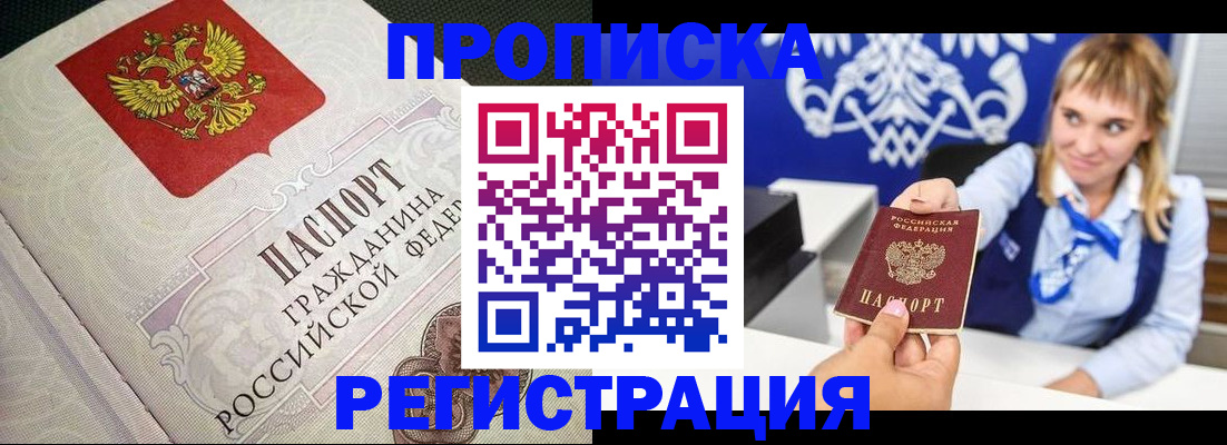 прописка поиск в Камышине